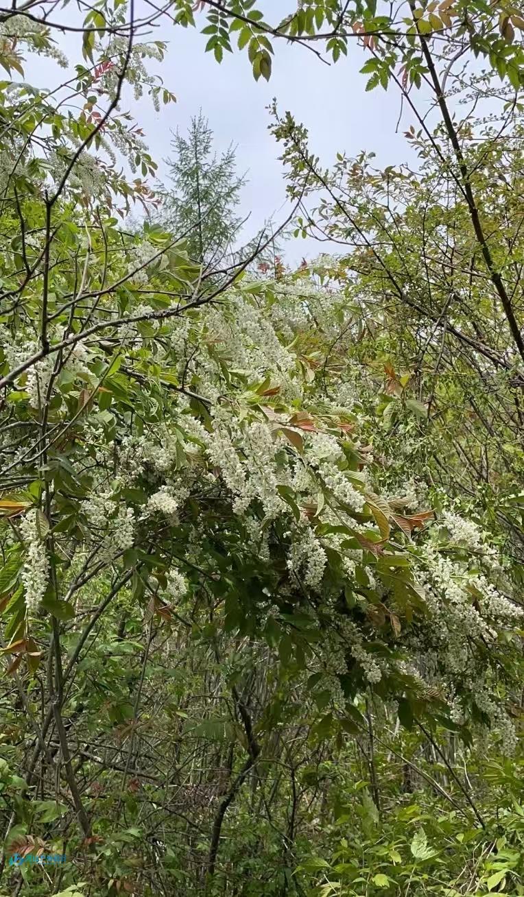 微信图片_20250224180509