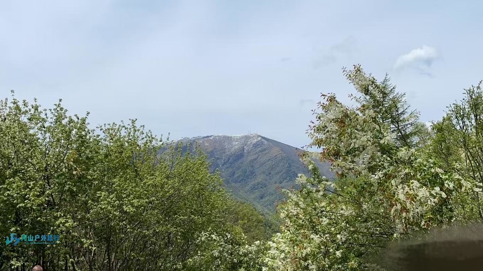 微信图片_20250224180512