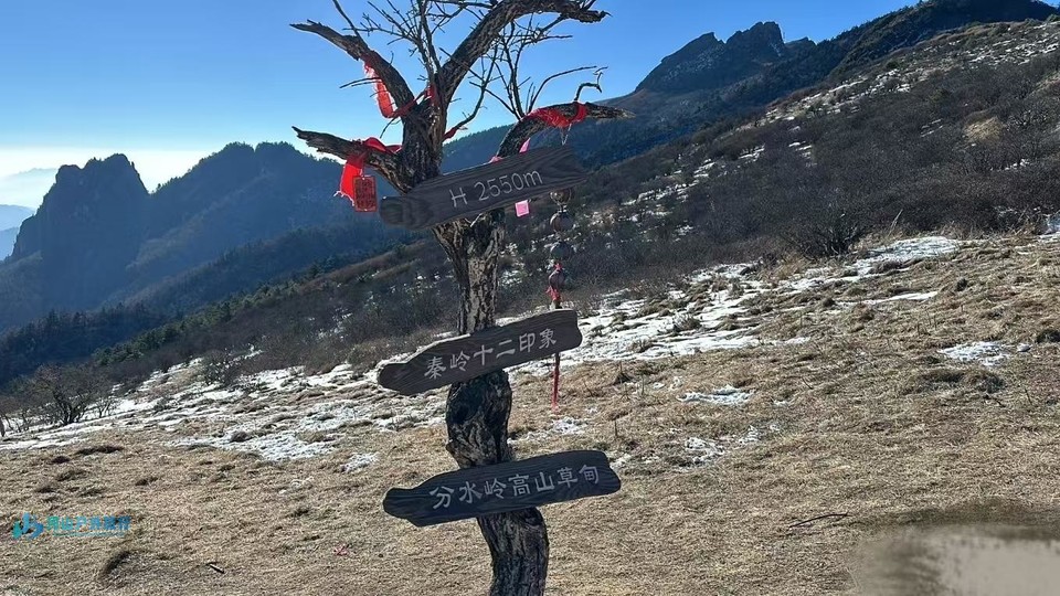 微信图片_20250224180526