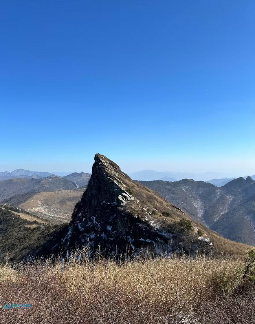 微信图片_20250224180529