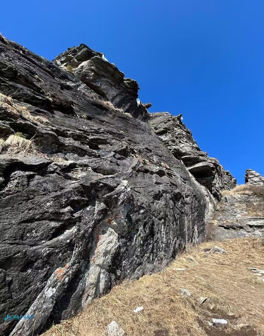 微信图片_20250224180532