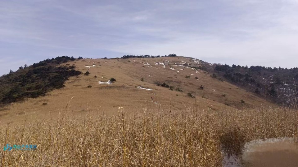 微信图片_20250224180542