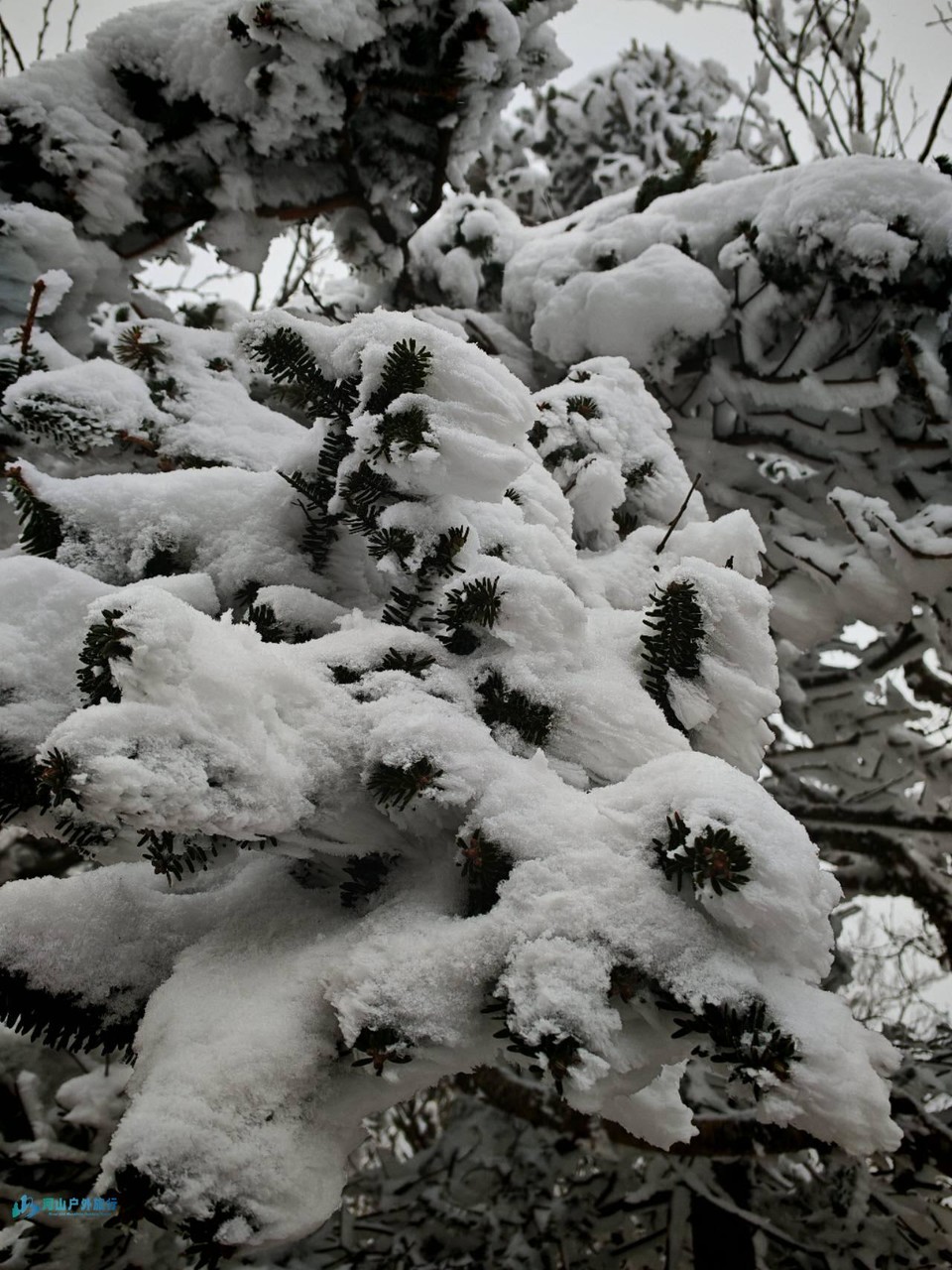 -v4MqRdx0KIFV3MINmYkQlooscPY5fu4QVItLP0bVHXdP4R0UONmBIh_17KYmGFe