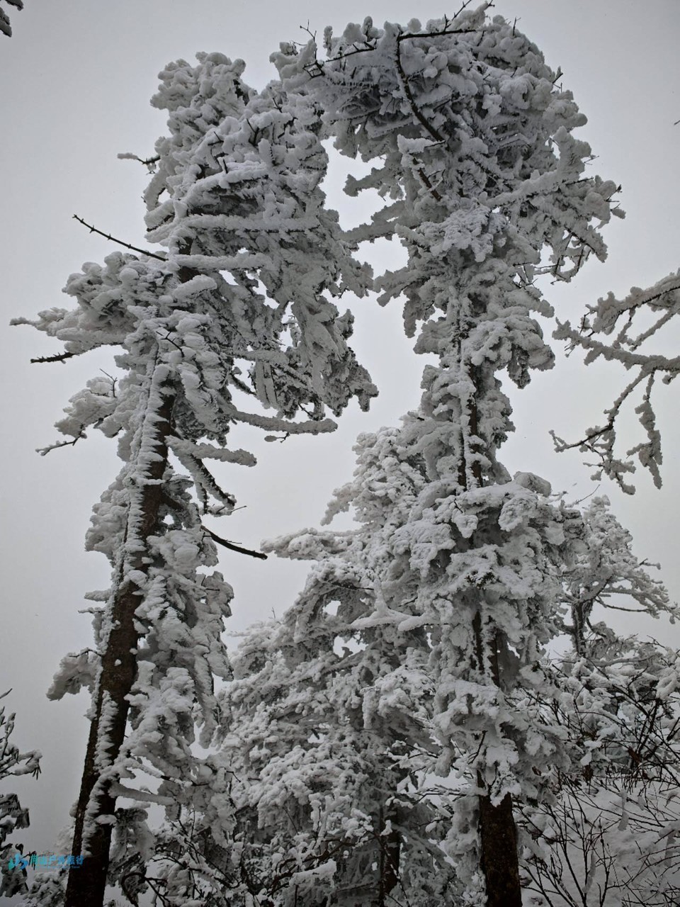 -v4MqRdx0KIFV3MINmYkQvlvPx9W5P-qCu-tH3duUt5J5HgqTac5-C_Y3GAtSOmK