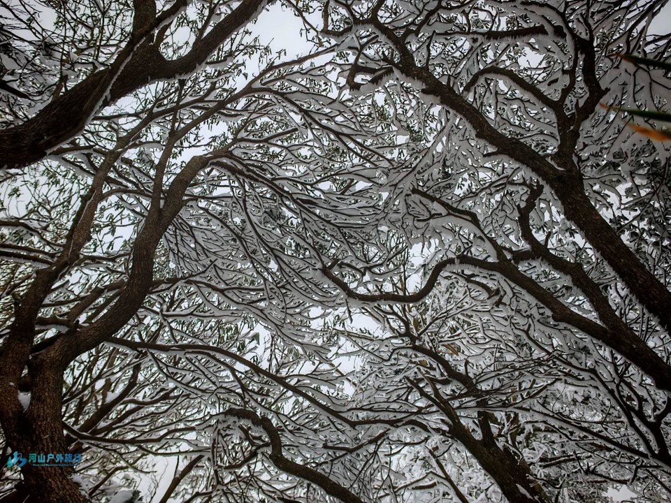 -v4MqRdx0KIFV3MINmYkQm7ebOPPSbuC1UcTMkihDC_HwyHZcx4iQZYDObBnlGWE