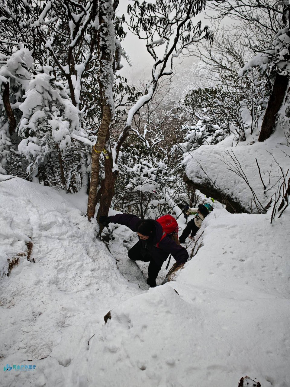 -v4MqRdx0KIFV3MINmYkQlBQA9VbypYWu38McxfEodX14HFwnn3fkhyPaWTkvjLz