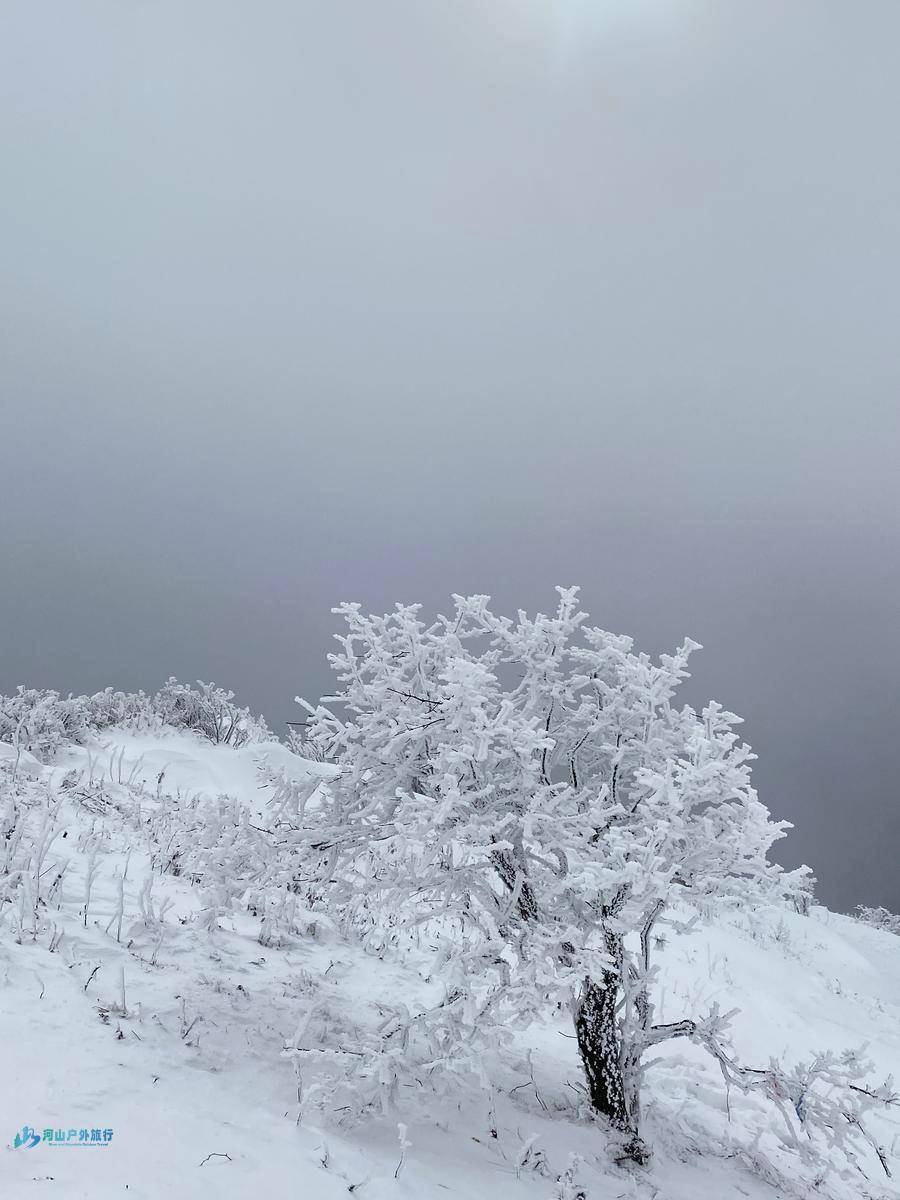 微信图片_20241120174608