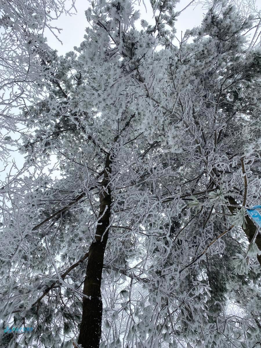 微信图片_20241120174422