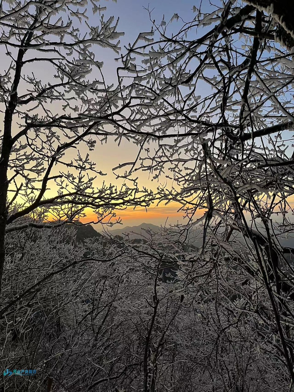 微信图片_20250221130242