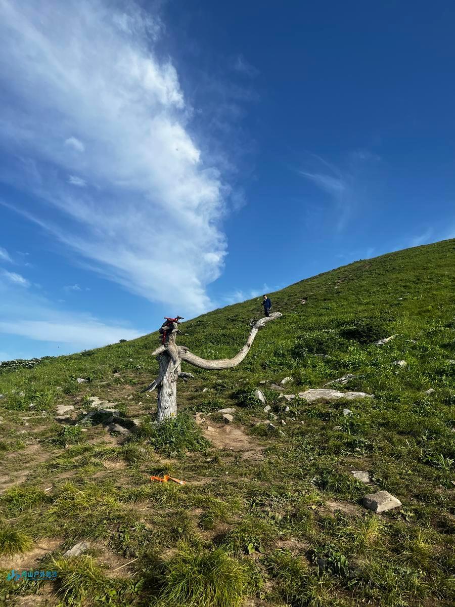 mmexport1718470266022