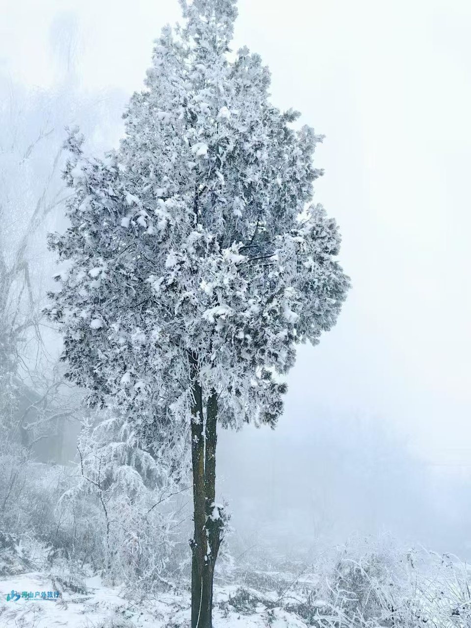 微信图片_20250307234657