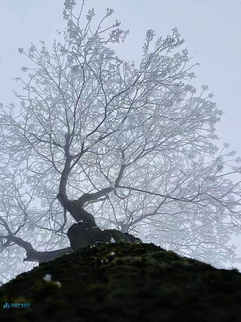 微信图片_20250307234701