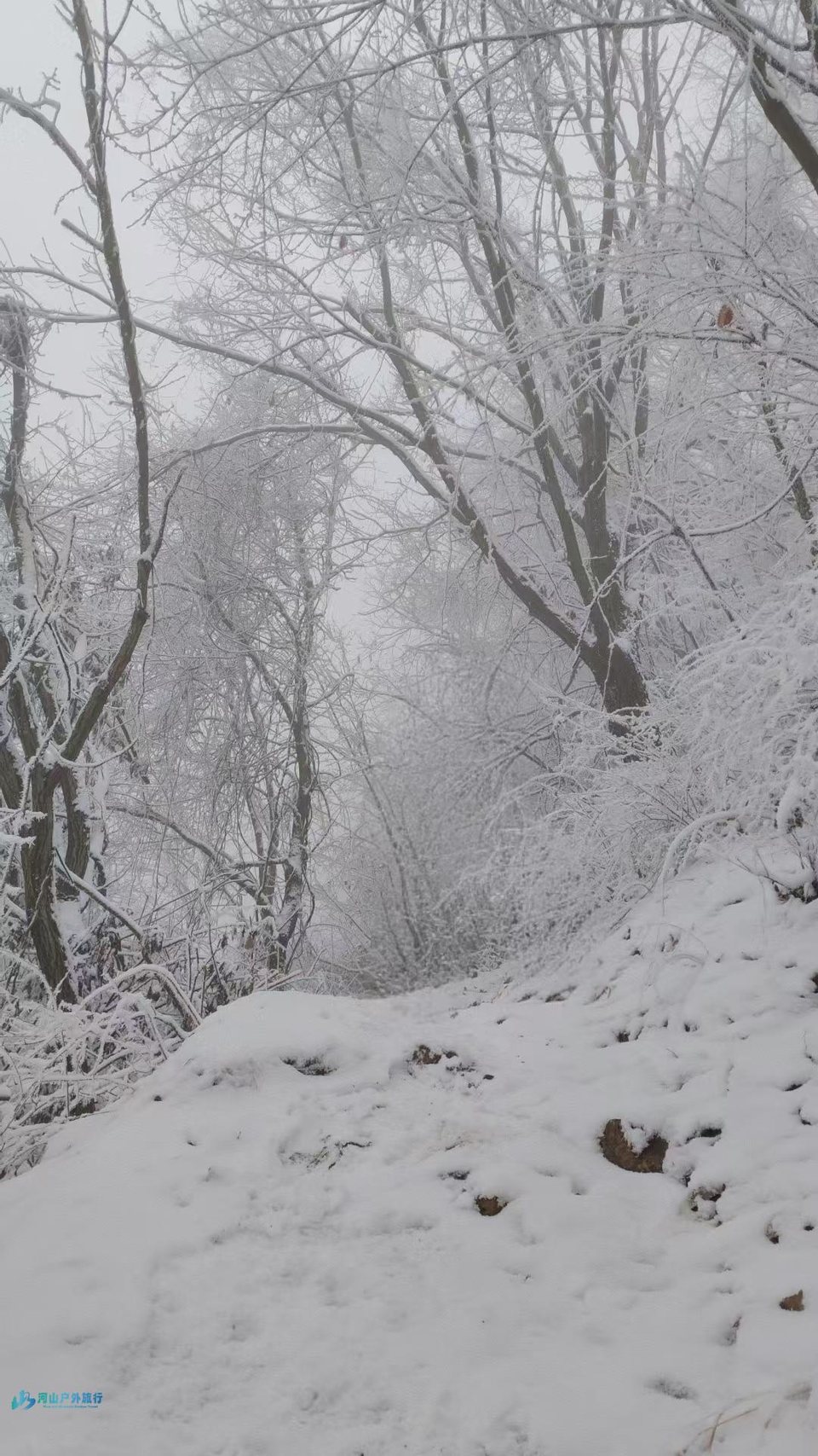 微信图片_20250307234705