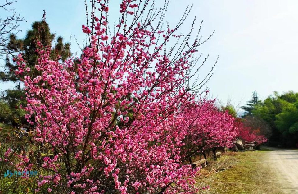 微信图片_20250309164756