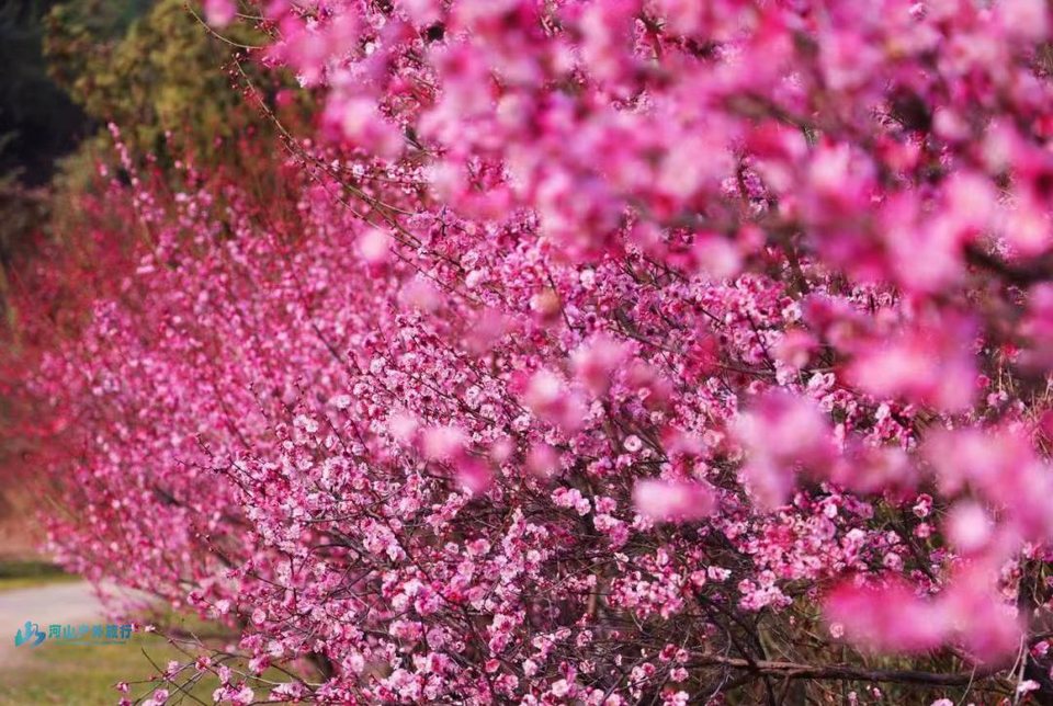 微信图片_20250309164831