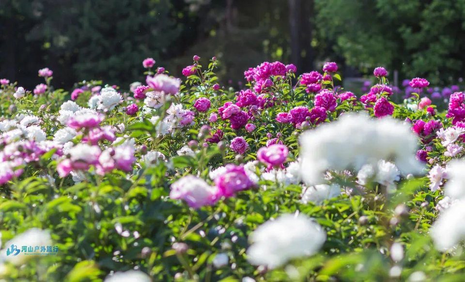 微信图片_20250309165317