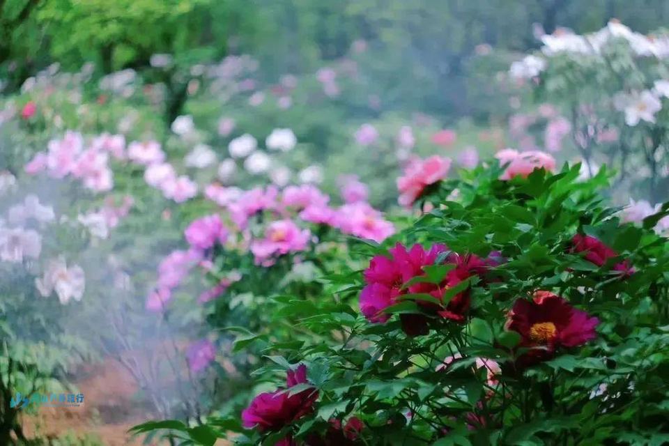 微信图片_20250309165341