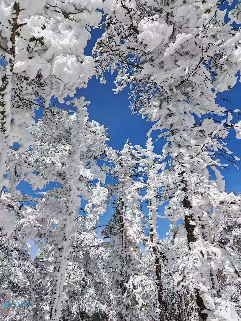 微信图片_20250317145144