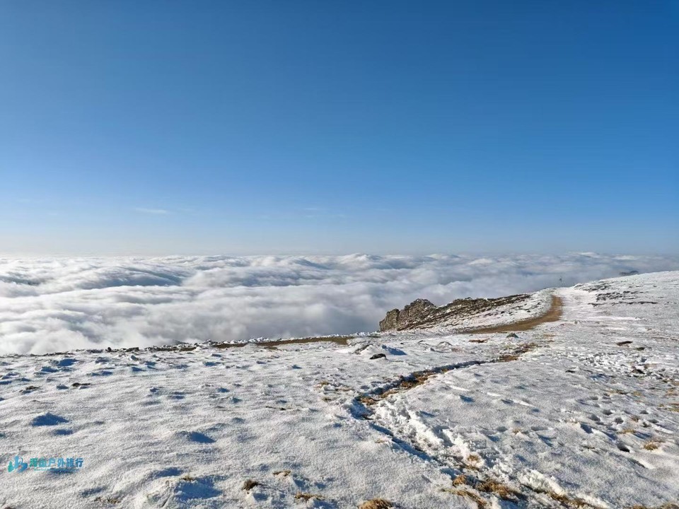 微信图片_20250317150703