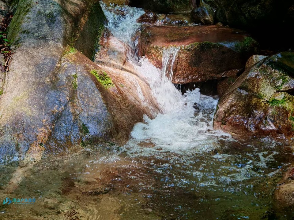 微信图片_20250714182633