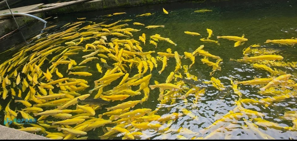 微信图片_20250714190138