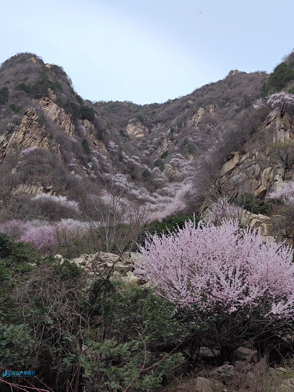 mmexport1711449697936