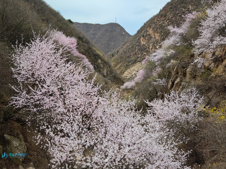 mmexport1711449709451