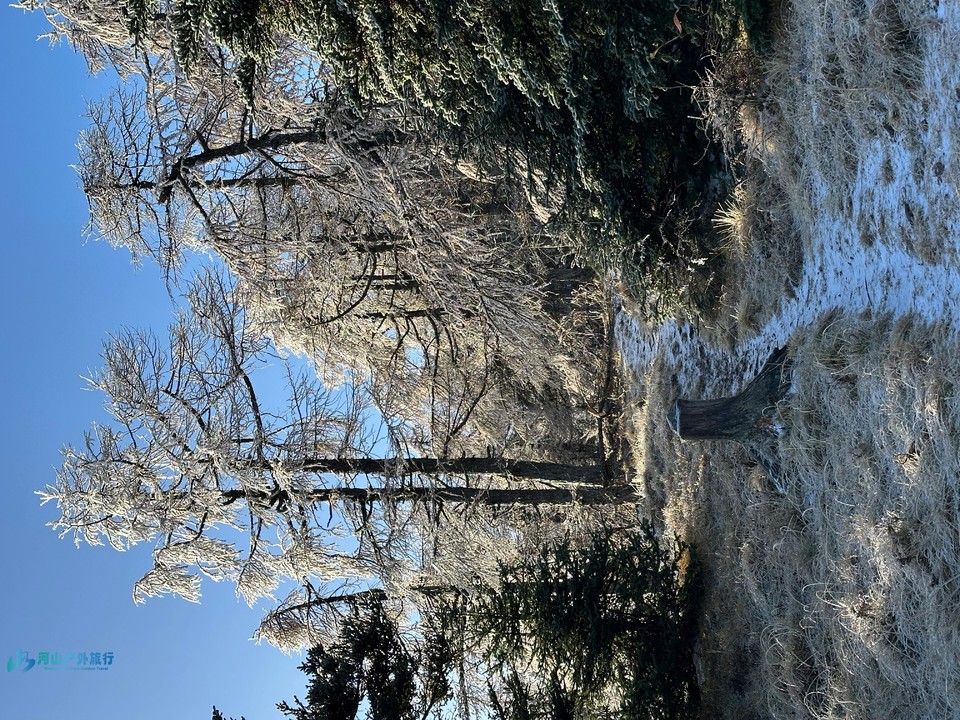 mmexport1730094720789