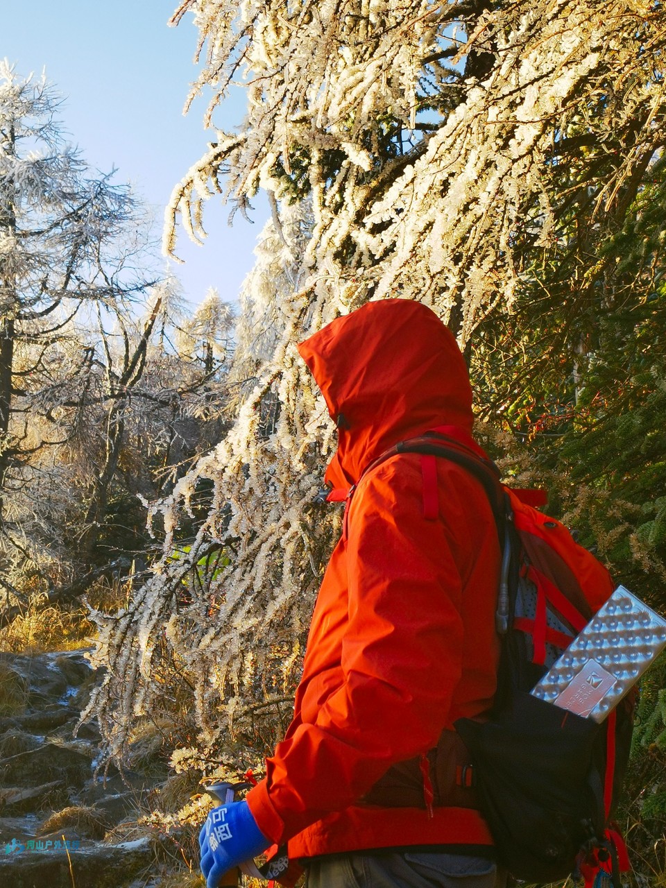 mmexport1730094774412