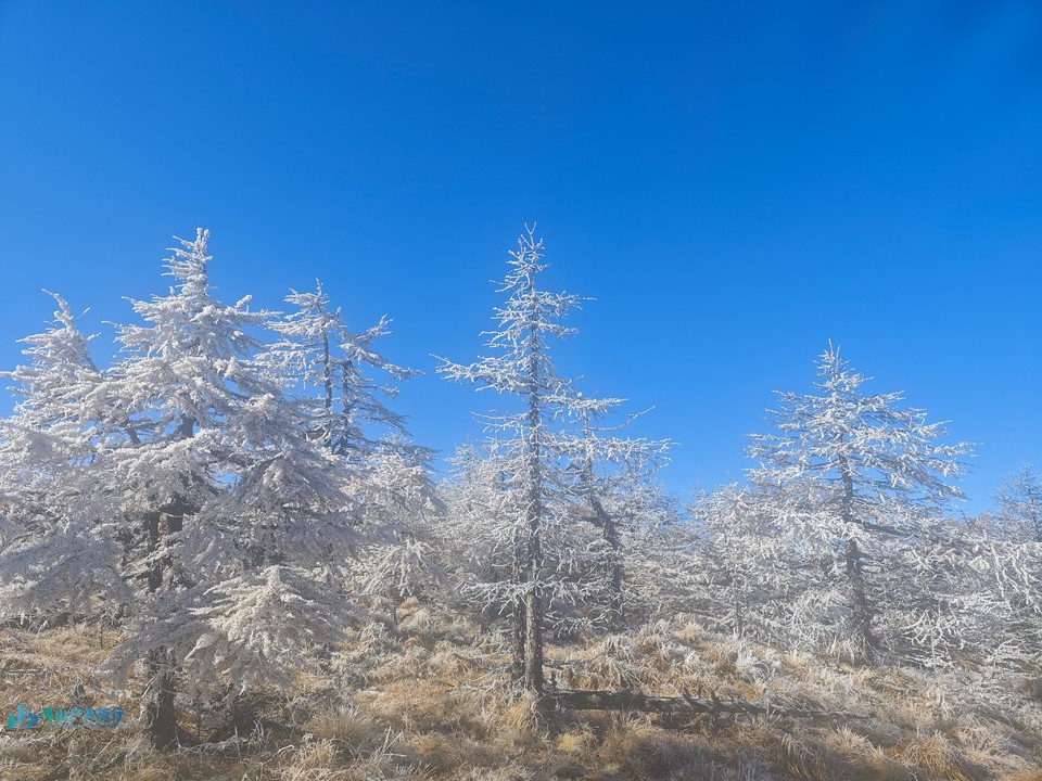 mmexport1730094821096