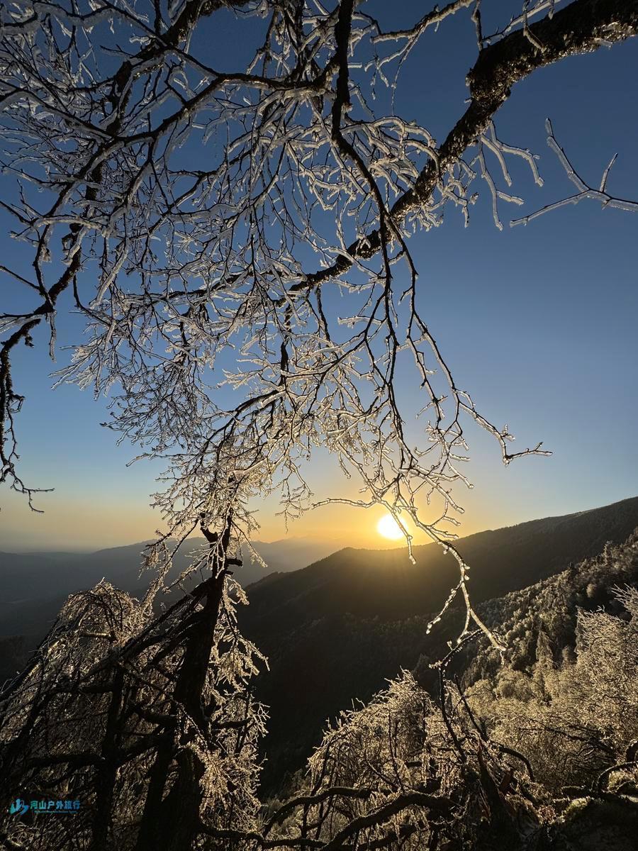 mmexport1730094471080