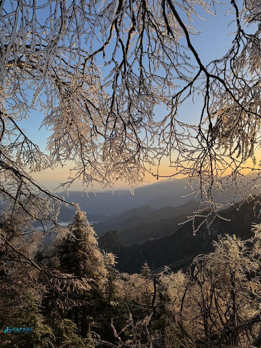 mmexport1730094526657