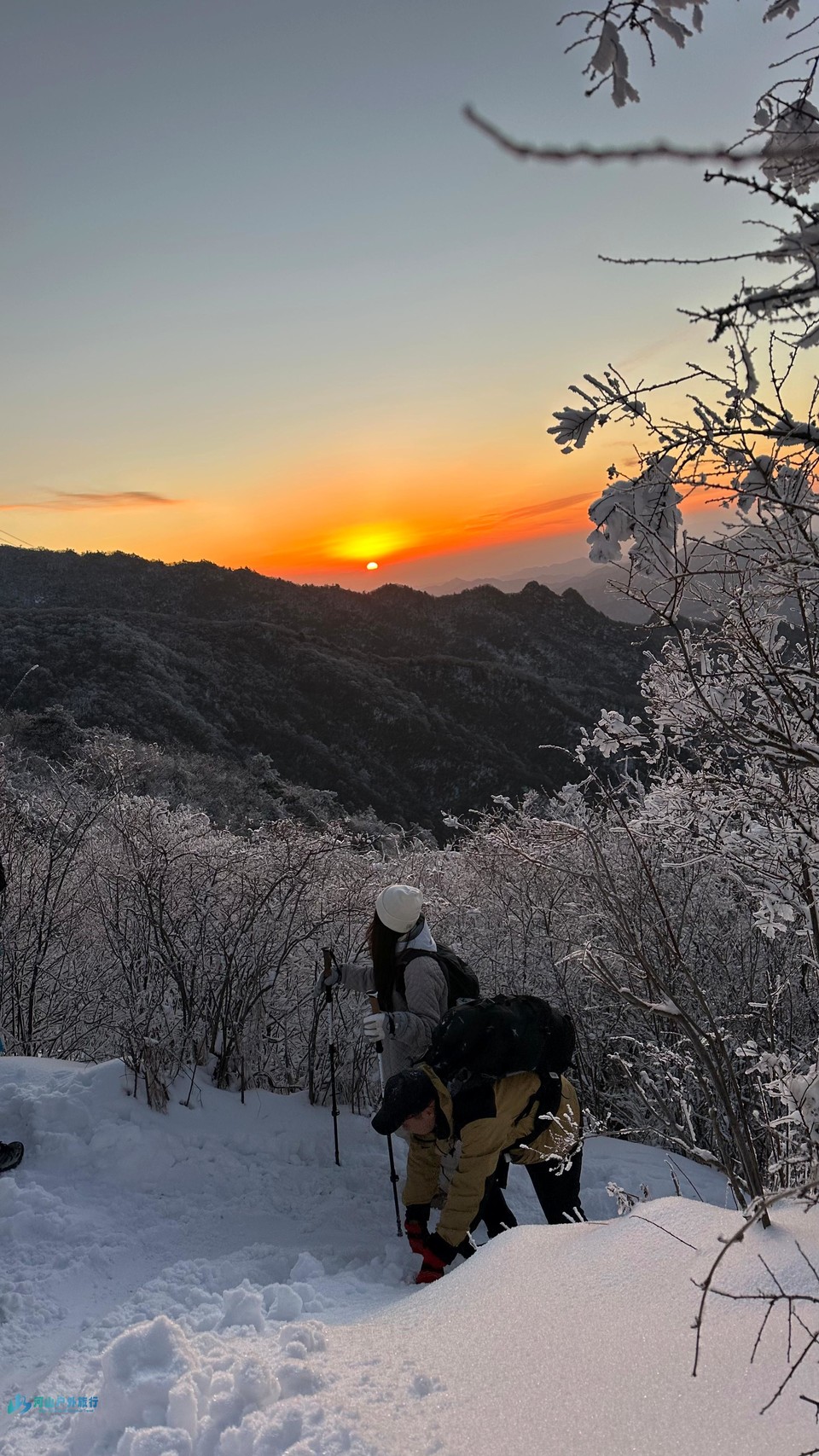 mmexport1732711491905