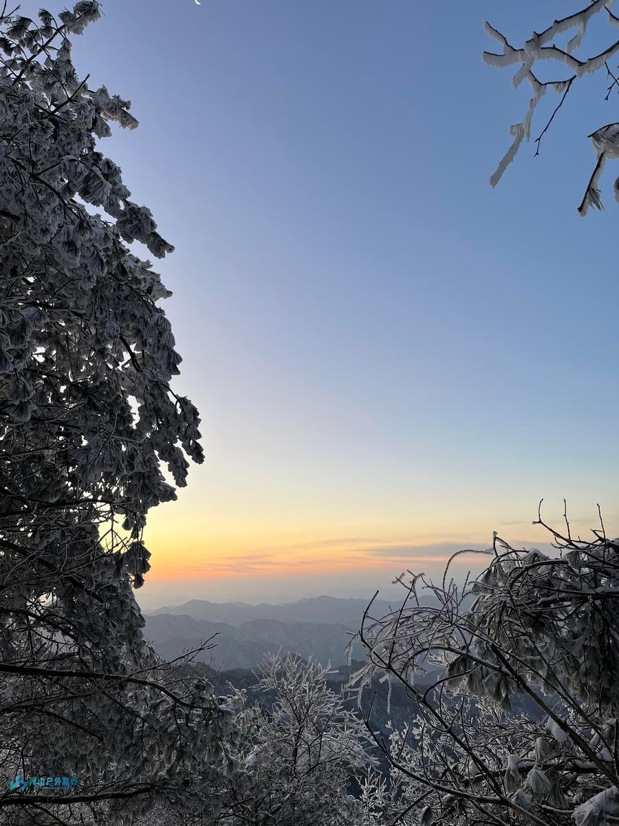 mmexport1732711349876