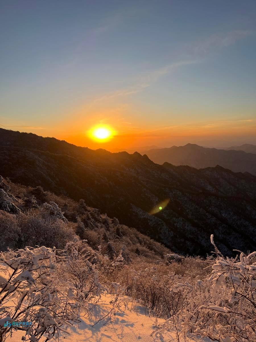 mmexport1732711311917