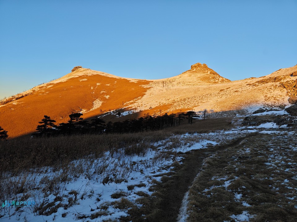 mmexport1732805758663