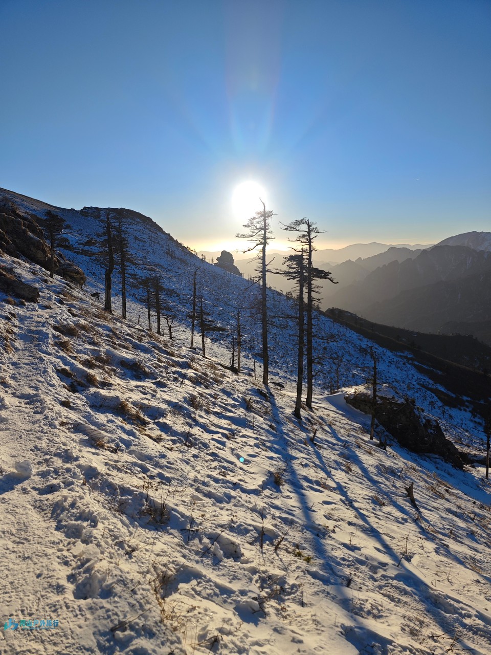 mmexport1732805850852