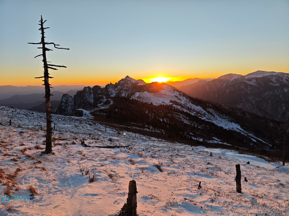 mmexport1732805922916