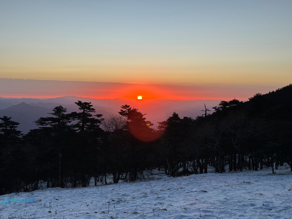 mmexport1732977405915