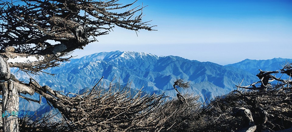 mmexport1732978055351