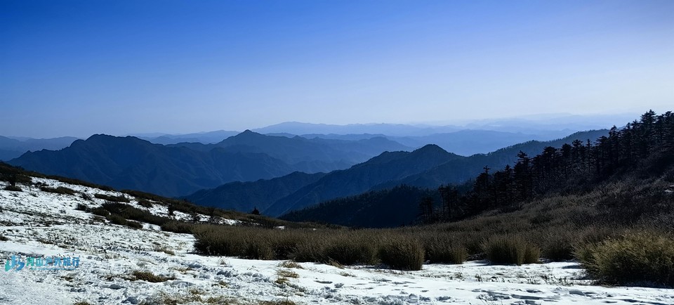 mmexport1732978059834