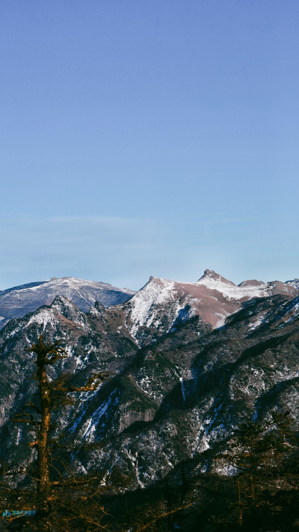 mmexport1733281961438