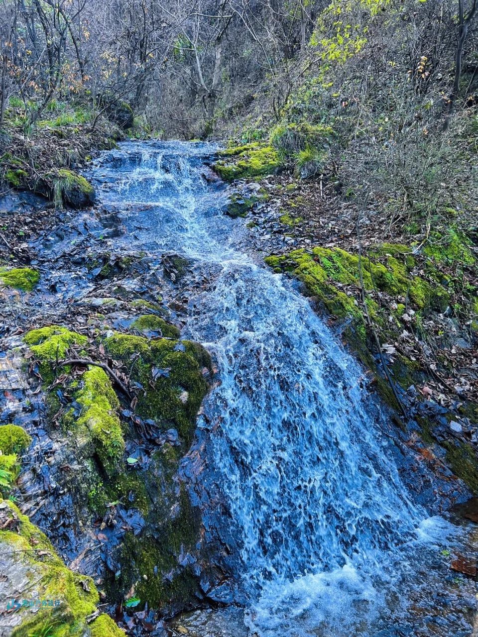 mmexport1733537816410