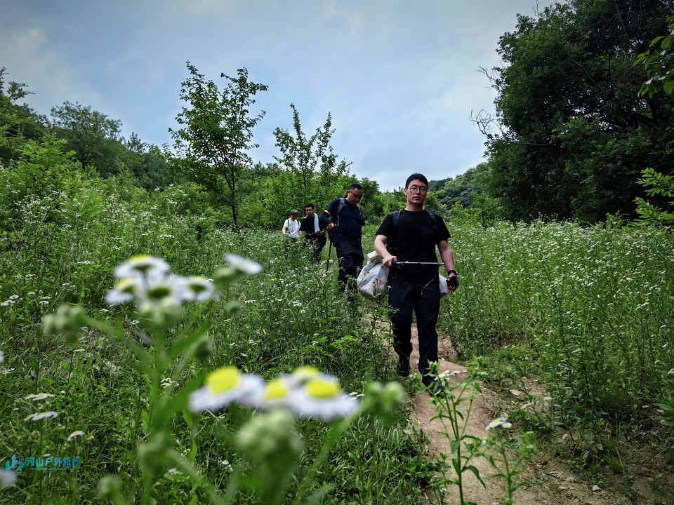 mmexport1717517377902