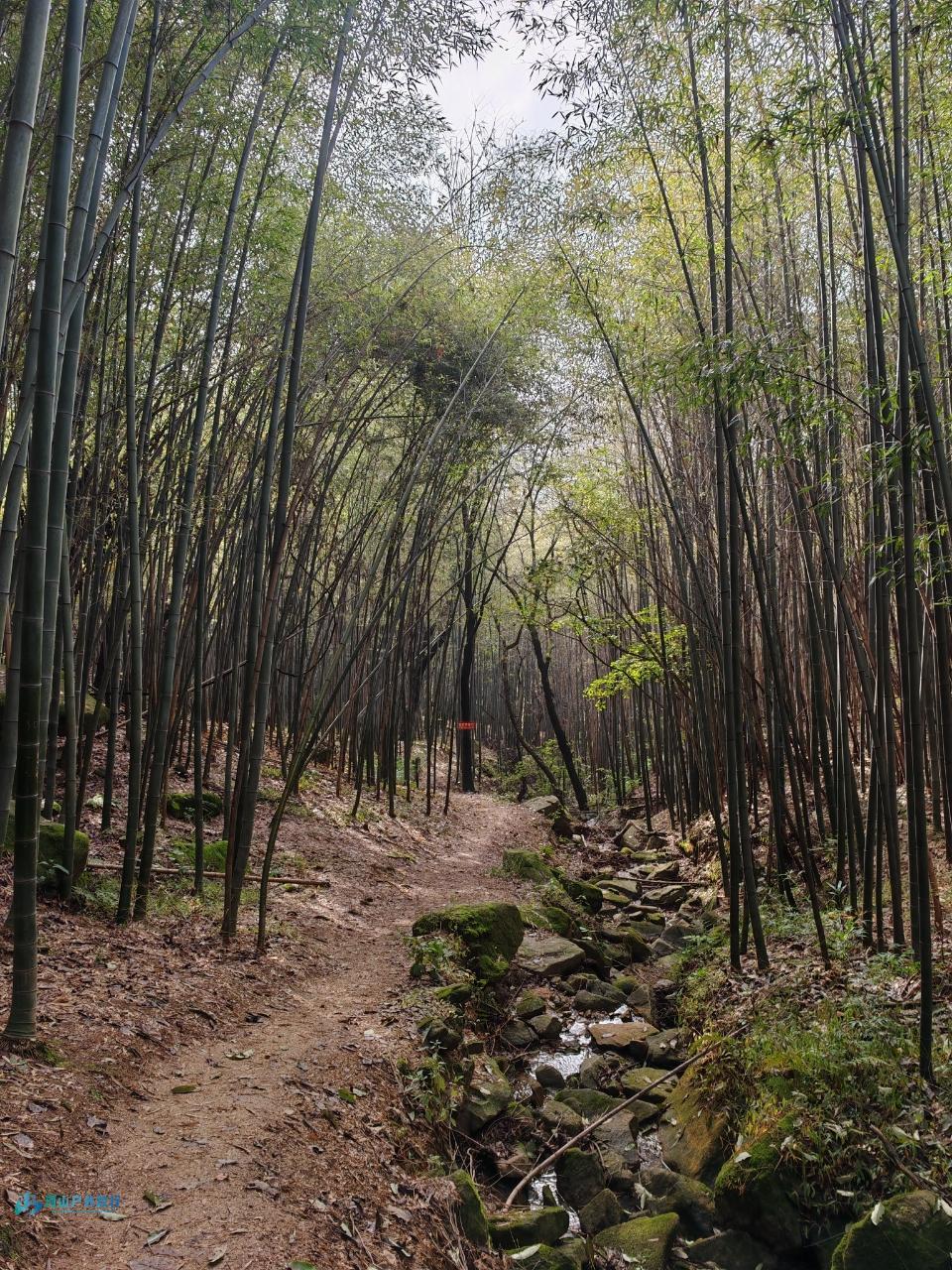 mmexport1733615746126