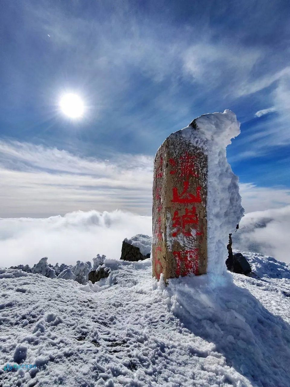 mmexport1733713228404