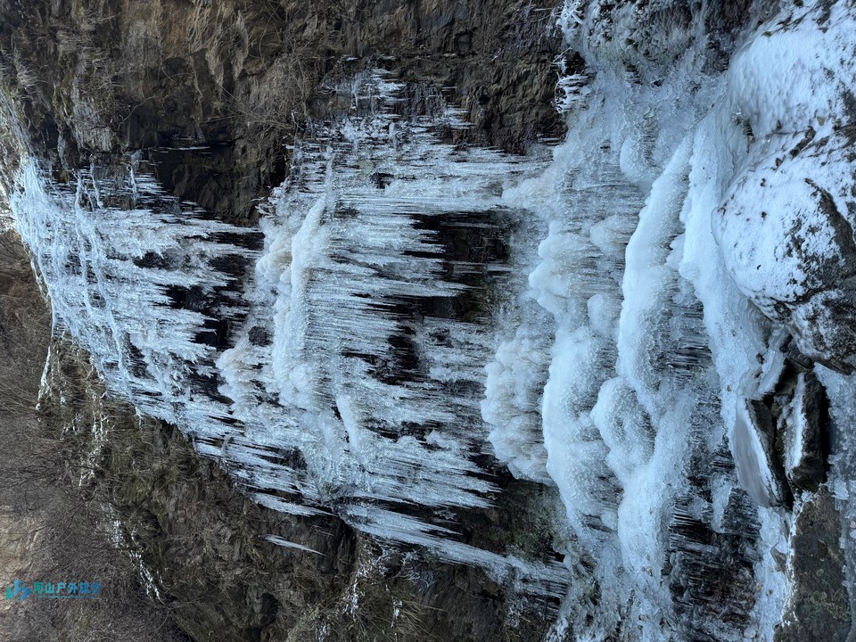 微信图片_20241218155605