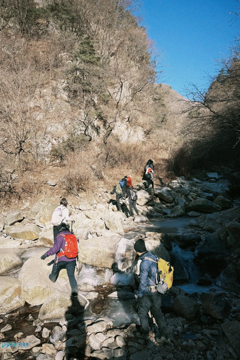 mmexport1736694511009