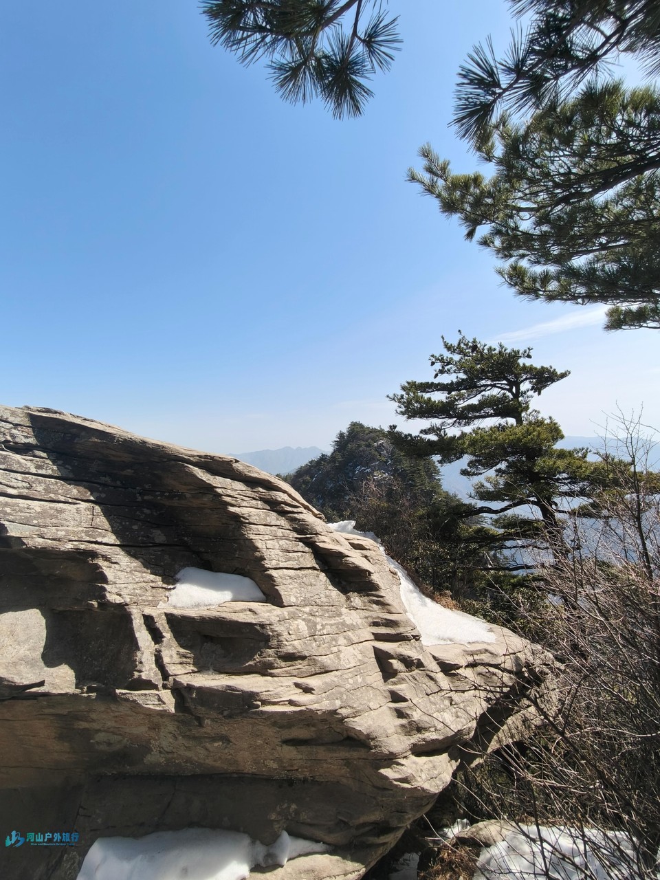 mmexport1739709038998