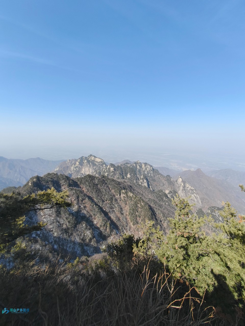 mmexport1739709123813